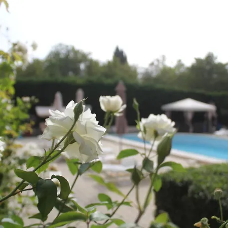 דירה 1-bedroom With Pool & Free Parking, 300 M To The פומורי